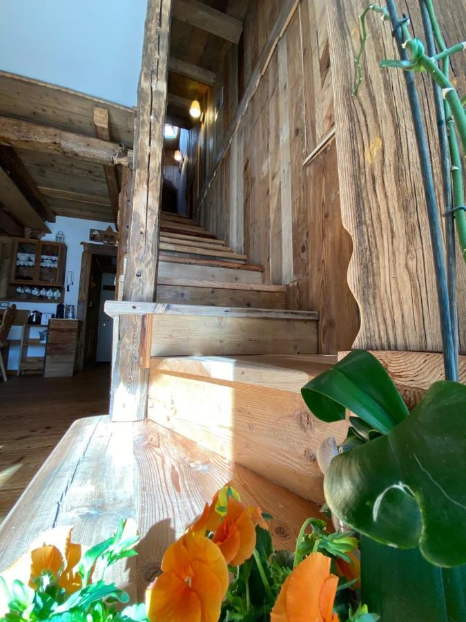 Calore Di Una Casa Di Montagna Campitello di Fassa Exterior foto
